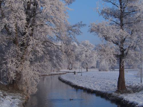Pruszcz Zatrzymany w Kadrze
