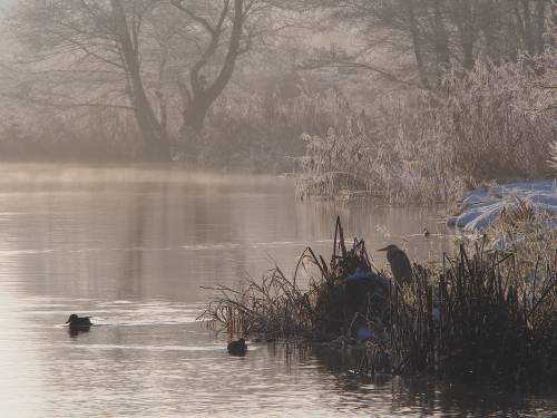 Pruszcz Zatrzymany w Kadrze