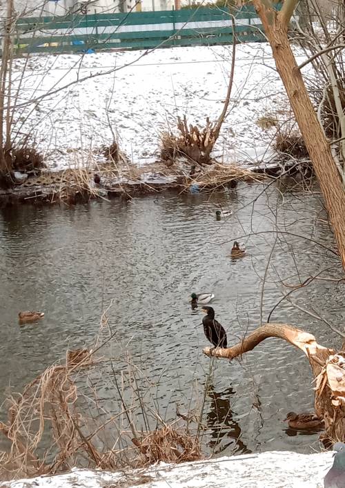 Pruszcz Zatrzymany w Kadrze