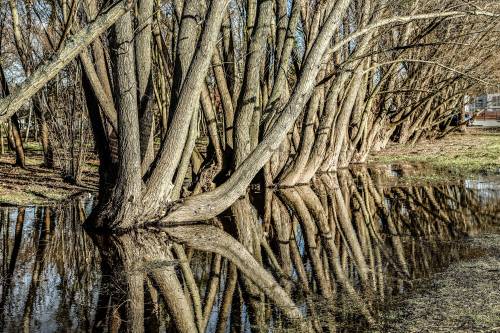 Pruszcz Zatrzymany w Kadrze