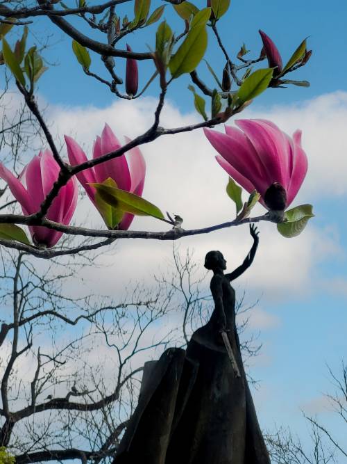 Pruszcz Zatrzymany w Kadrze