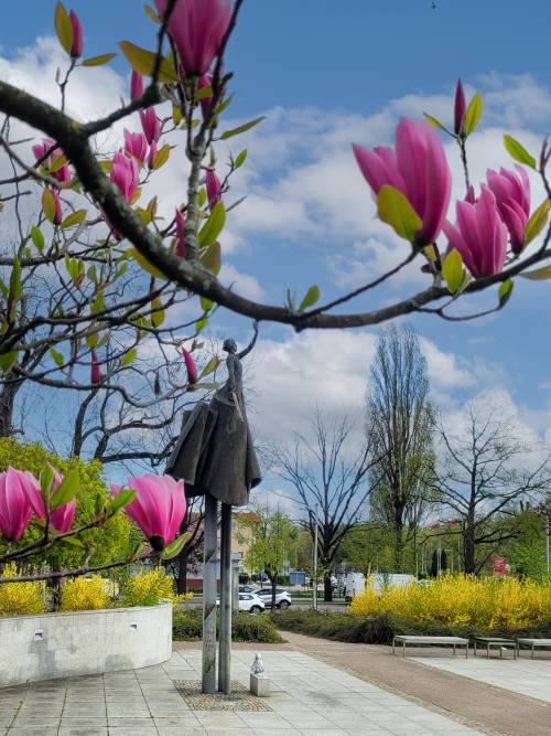 Pruszcz Zatrzymany w Kadrze