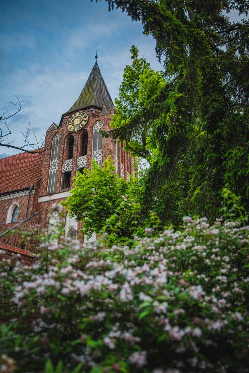 Pruszcz Zatrzymany w Kadrze