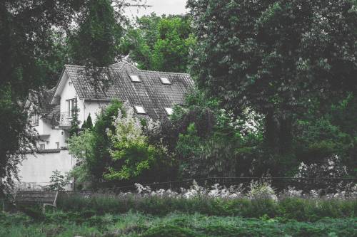 Pruszcz Zatrzymany w Kadrze