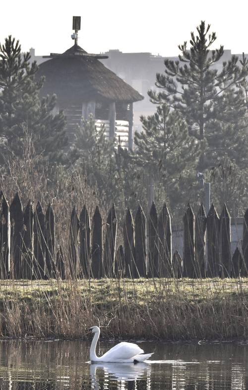 Pruszcz Zatrzymany w Kadrze