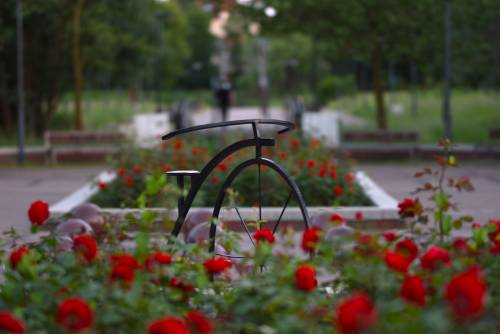 Pruszcz Zatrzymany w Kadrze