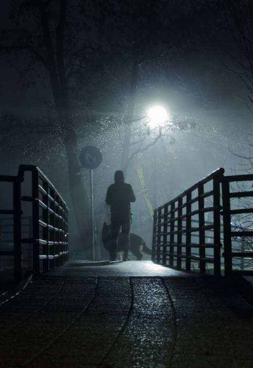 Pruszcz Zatrzymany w Kadrze