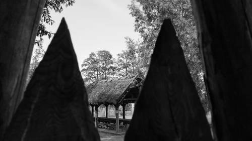 Pruszcz Zatrzymany w Kadrze