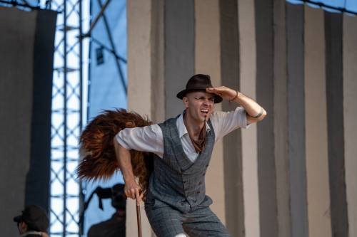 Zbliżenie na lisa, który wypatruje czegoś w oddali.