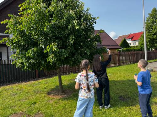Uczestnicy gry terenowej Środowisko ponad wszystko w trakcie gry, robiący zdjęcie na terenie zielonym. Widać troje uczniów na trawie obok drzewa.
