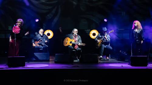 Zespół Czerwony Tulipan na scenie