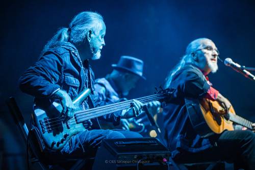 Muzycy - gitarzyści z zespołu czerwony Tulipan