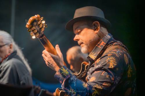 Gitarzysta z zespołu Czerwony Tulipan