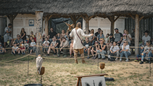 Pan prezentuje zgromadzonym widzom drapieżnego ptaka