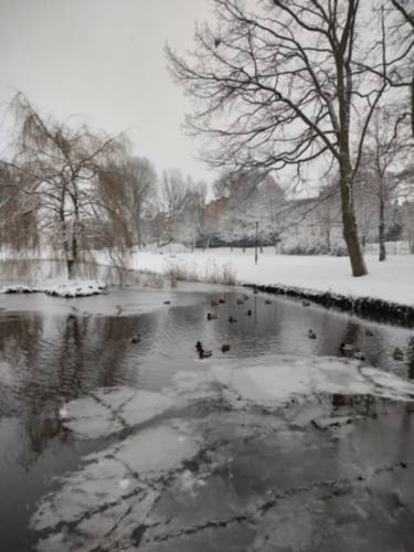 Zamarznięta Radunia.