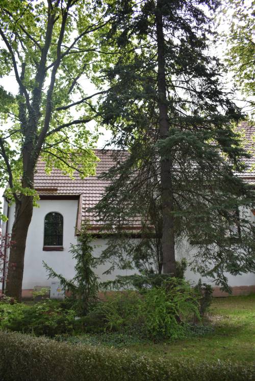 Zieleń przy kościele.