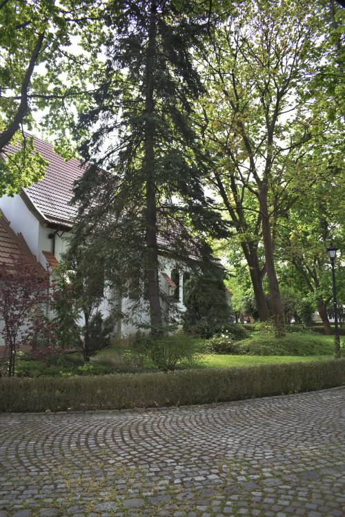 Zieleń przy kościele.