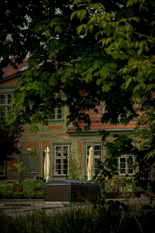 Dom Wiedemanna zza drzewa.