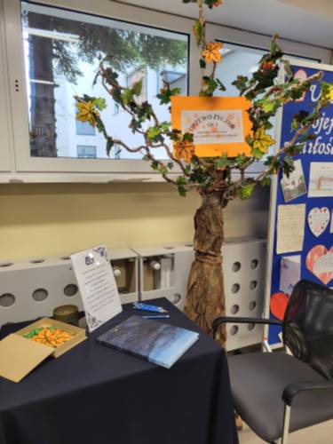 Prezentacja zdjęć i prac.